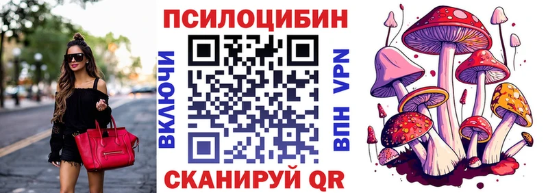 Галлюциногенные грибы Psilocybe  Купить  Первомайск 